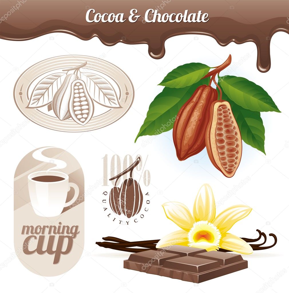 Vector set - Cocoa beans and chocolate