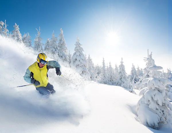 Skier in high mountains Stock Image