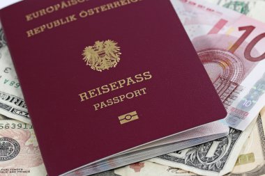 Avrupa Birliği pasaportu ve para