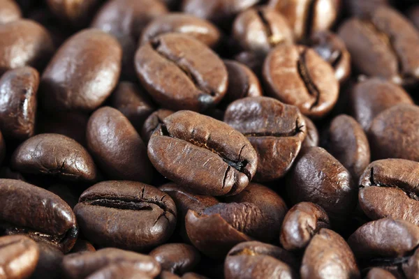 stock image Coffee beans