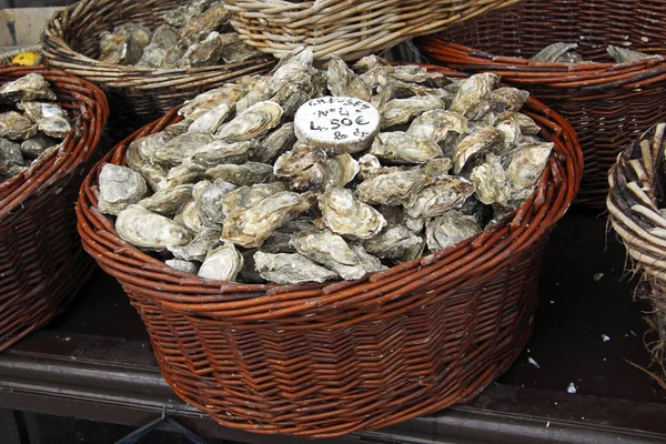 Oyster ринку Канкаль, Франція Ліцензійні Стокові Фото