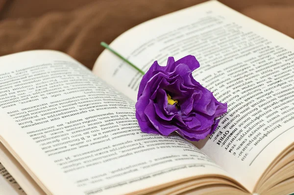 Buch und Blume — Stockfoto