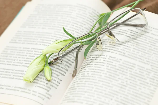 Książki i kwiat — Zdjęcie stockowe