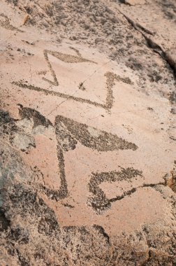 petroglyph-kuğu