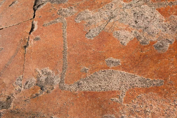 stock image Petroglyph-swan