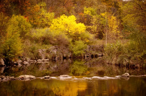 Stock image Lake in Fall forest