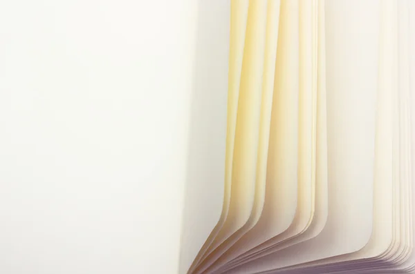 Papier bladen macro, horizontale kopie-ruimte — Stockfoto