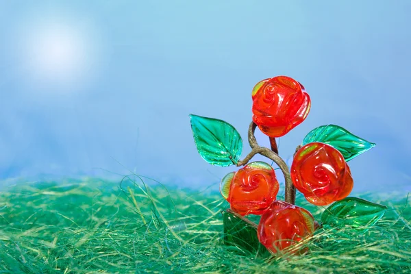 Rose bush grows to sun — Stock Photo, Image