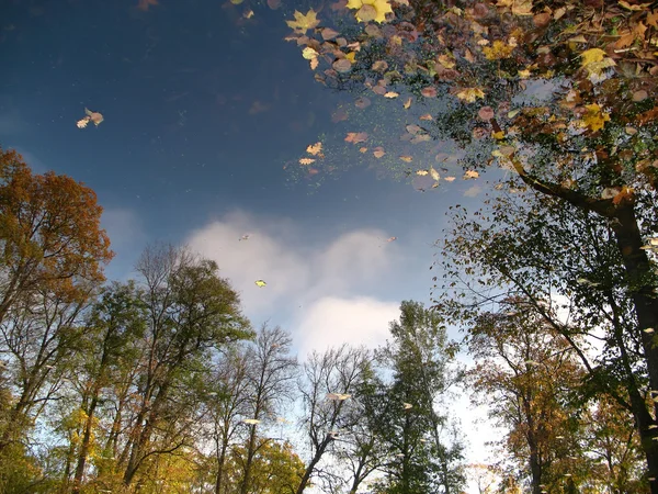 stock image Reflection of autumn landscape in the water