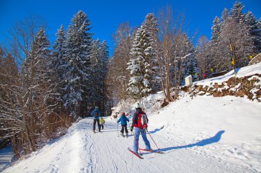 Winter in alps clipart