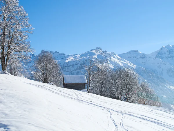 Skiing slope — Stock Photo, Image