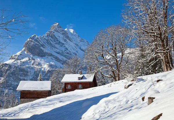 stock image Winter in alps