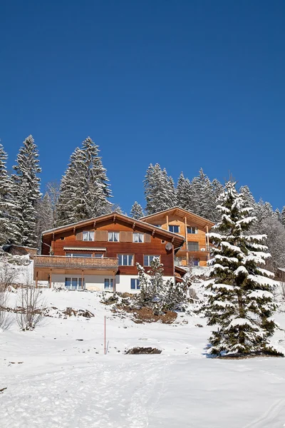 stock image Winter in alps