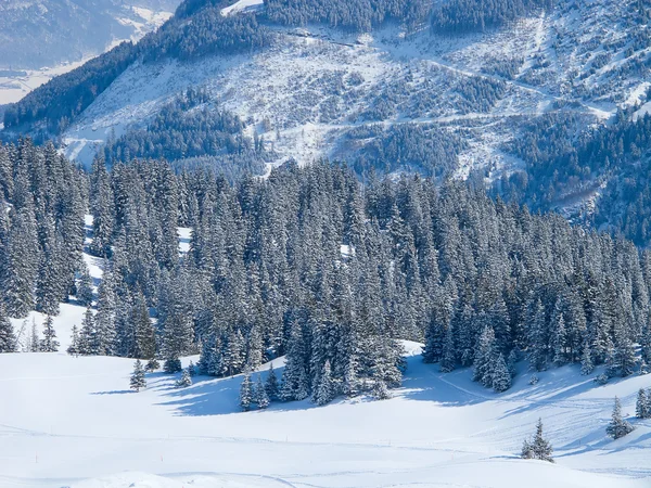 스키 슬로프 — 스톡 사진