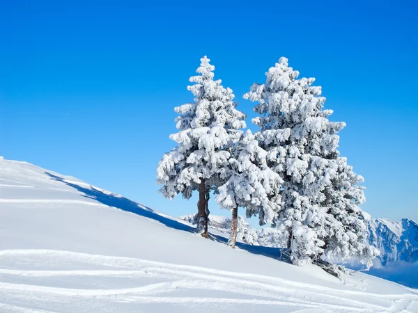 Invierno en Alpes — Foto de Stock