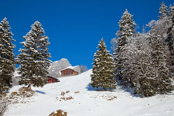 Winter in alps Stock Photo