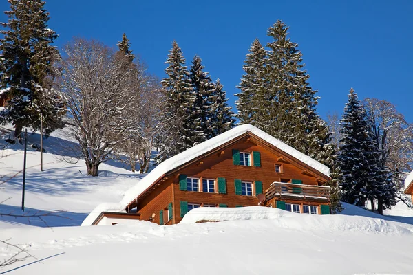 Inverno nelle Alpi — Foto Stock