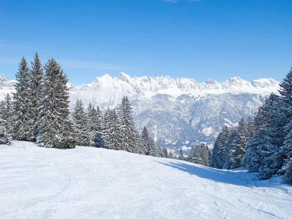 Skiën helling — Stockfoto