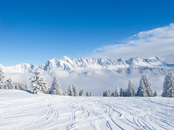 Winter in alps Stock Image