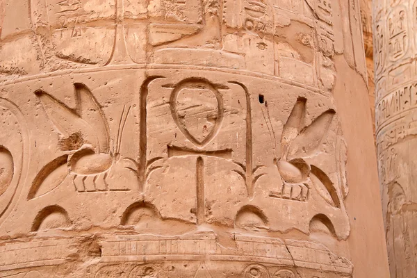 Hieroglyfy na zdi — Stock fotografie
