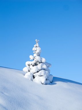 Alpleri'nde kış