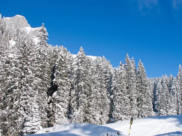 Inverno nelle Alpi — Foto Stock