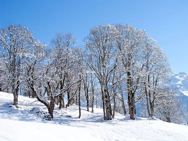 Χειμώνα στις Άλπεις — Φωτογραφία Αρχείου