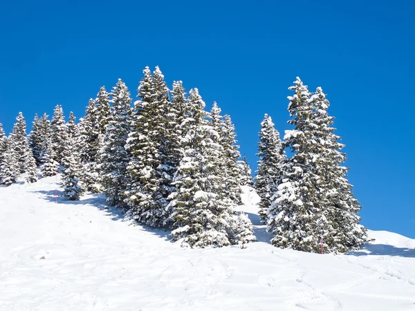 Invierno en Alpes — Foto de Stock