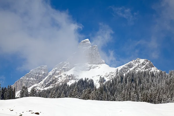 Winter in de Alpen — Stockfoto