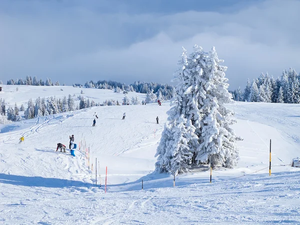 Musim dingin di Alpen — Stok Foto