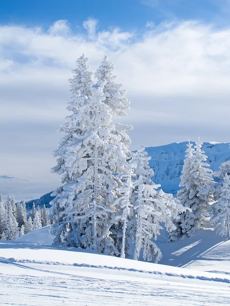 Зима в Альпах — стокове фото