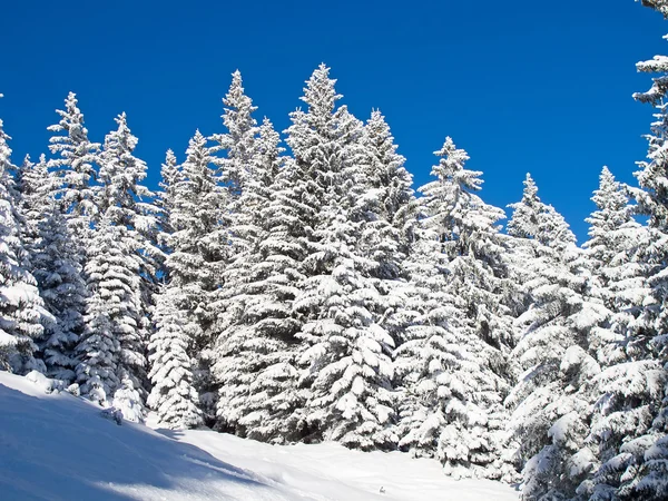 Winter in den Alpen — Stockfoto