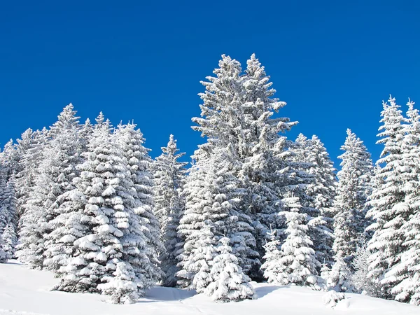 L'hiver dans les Alpes — Photo