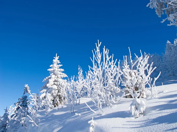 알프스의 겨울 — 스톡 사진