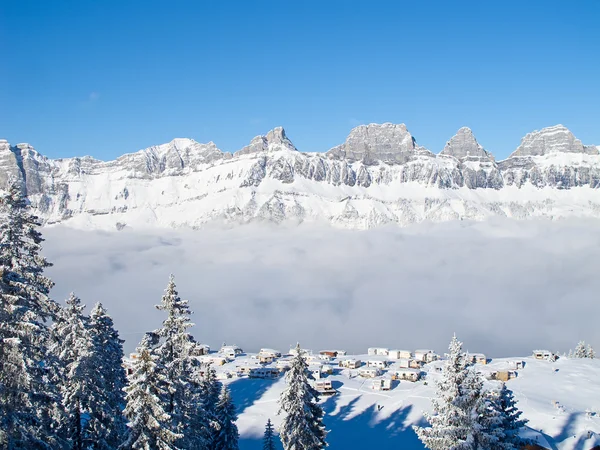 L'hiver dans les Alpes — Photo