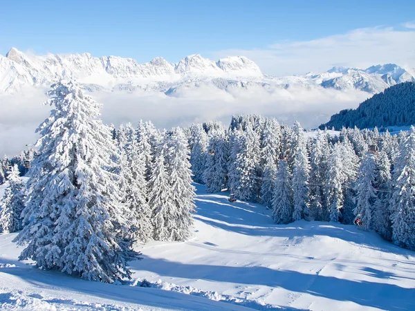 Inverno nelle Alpi Foto Stock
