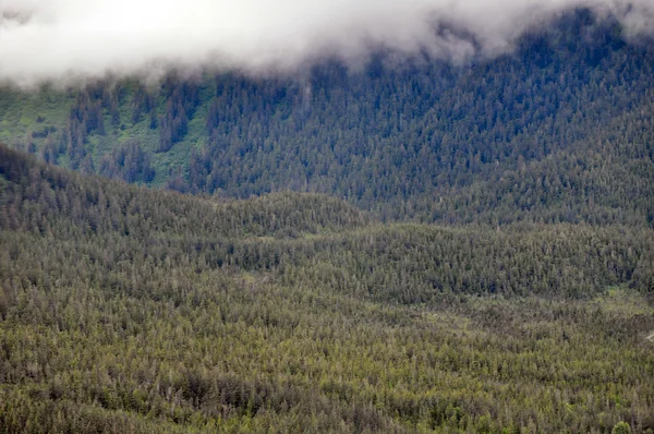 Montagne dell'Alaska — Foto Stock