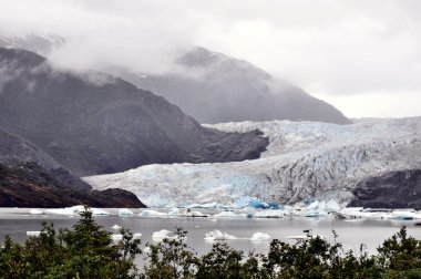 Alaska buzulların