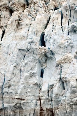Alaska buzulların