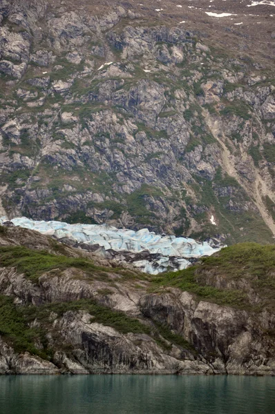 Ледники Аляски — стоковое фото