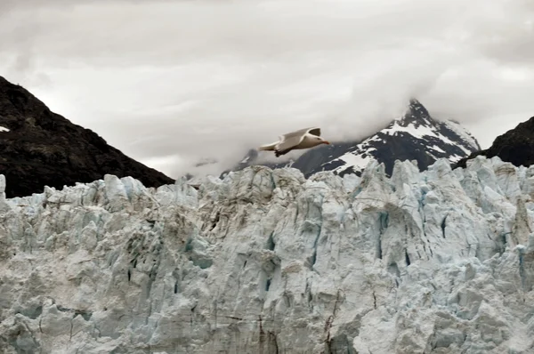 Αλάσκα παγετώνες — Φωτογραφία Αρχείου