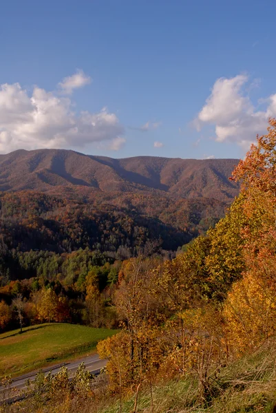 Asheville βουνά βόρεια Καρολίνα — Φωτογραφία Αρχείου