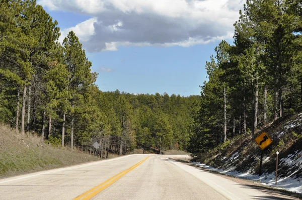 Estrada sinuosa de Deadwood — Fotografia de Stock