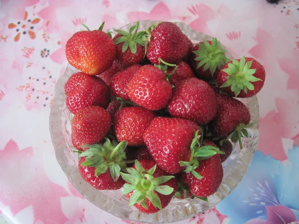 Fresh fruit. — Stock Photo, Image