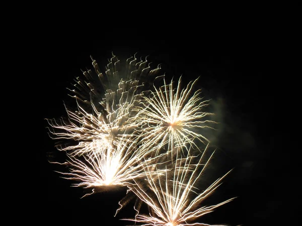 Firework — Stock Photo, Image
