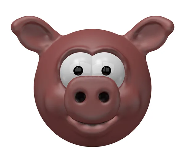 Смешная свинья — стоковое фото