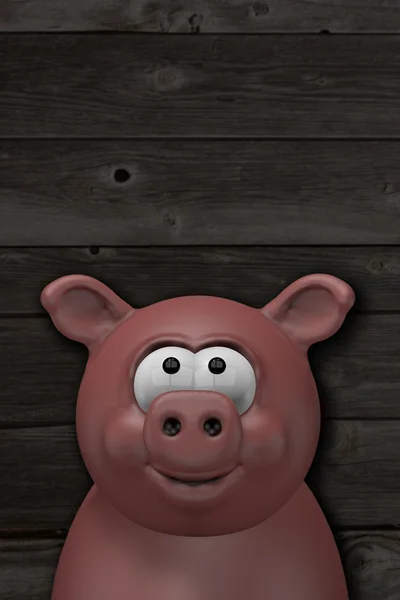 Glückliches Schwein — Stockfoto