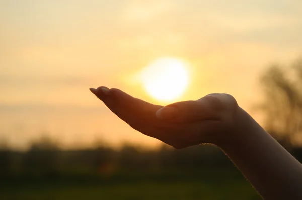 stock image The sun in hand