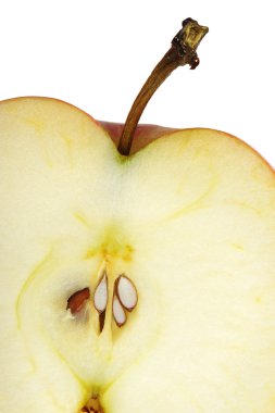 Texture cut an apple clipart