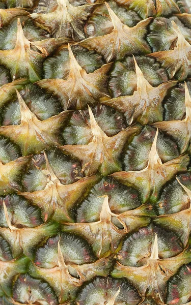 Ananas tekstura — Zdjęcie stockowe